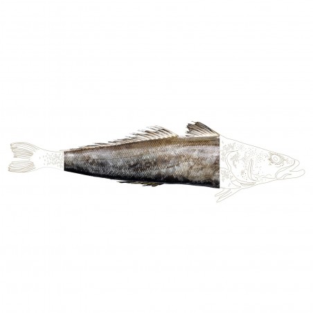 Toothfish Raw Fillets (Skin On)