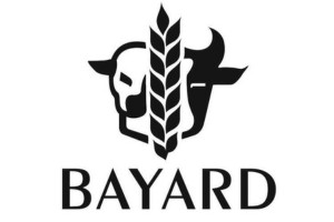 Bayard